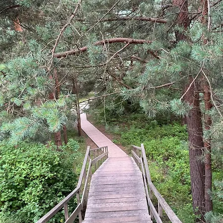 Sea & Pinewoods - Nemirseta * Palanga