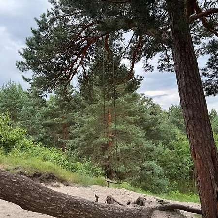 Sea & Pinewoods - Nemirseta Appartamento Palanga